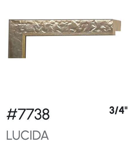 Silver | 7738 – Preservation Press