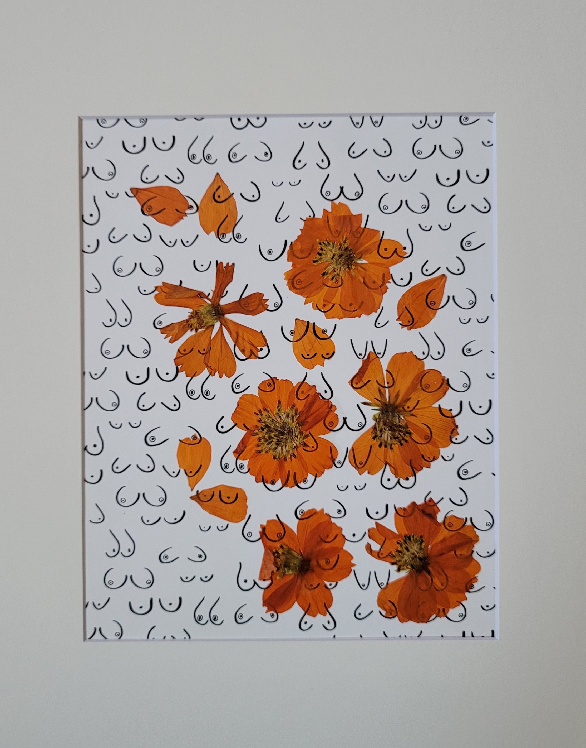 Cosmos | Boobie Wallpaper – Preservation Press