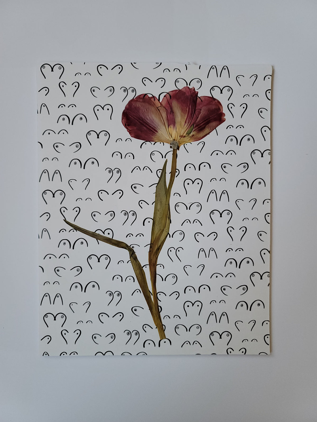 Tulip | Boobie Wallpaper – Preservation Press